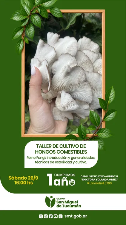 flyer talleres campus 26 de septiembre (2)