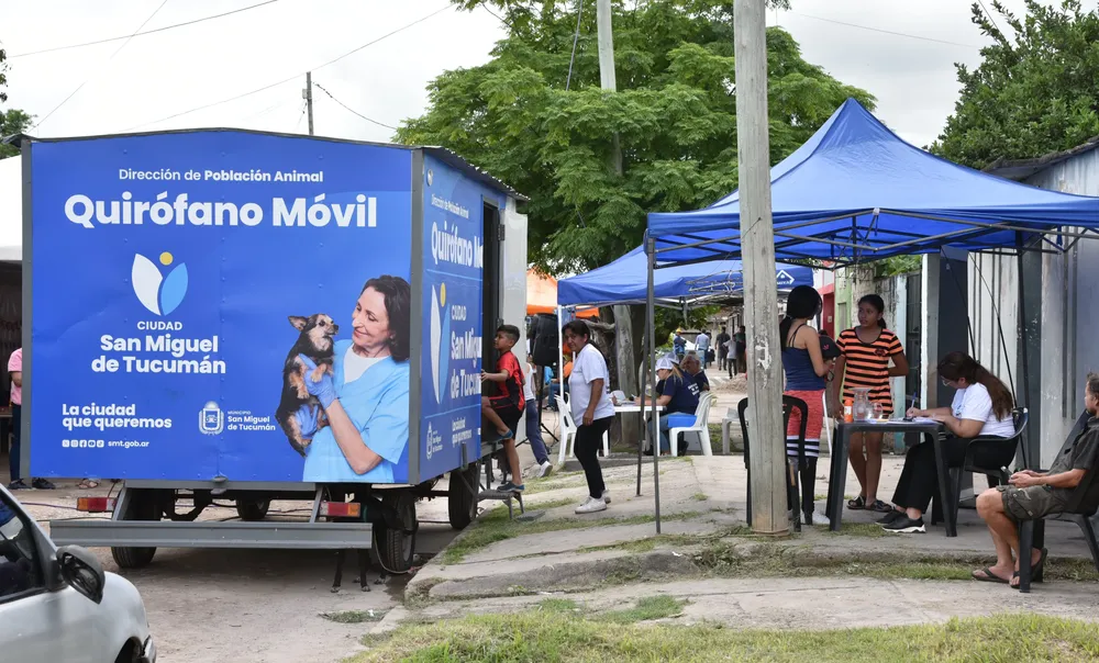 somos más en territorio smt noviembre 2024