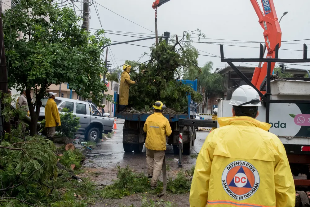 WhatsApp Image 2026-01-14 at 11.56.47