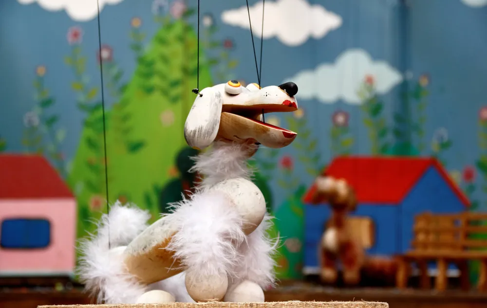 Teatro titeres Erase una vez - Colibrí - Venezuela (6)