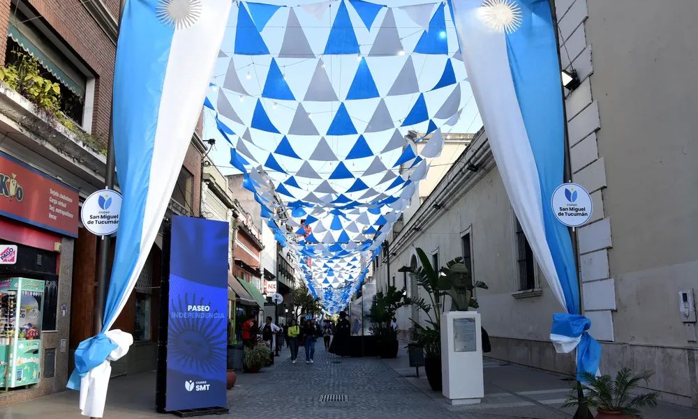 Ornamentación 9 de Julio (41)