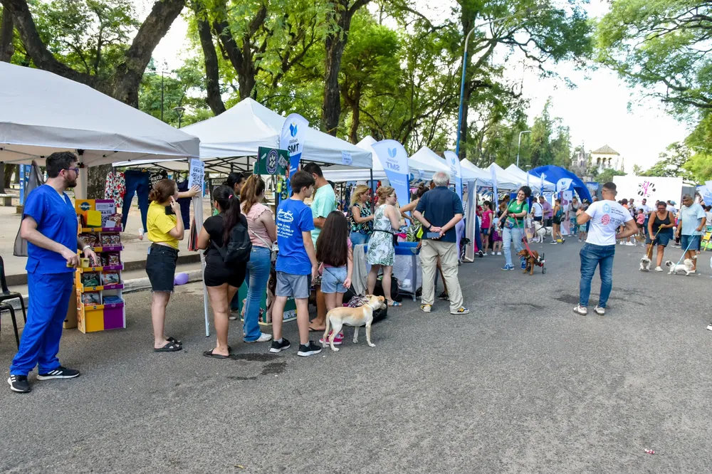 WhatsApp Image 2025-02-24 at 11.40.50 AM