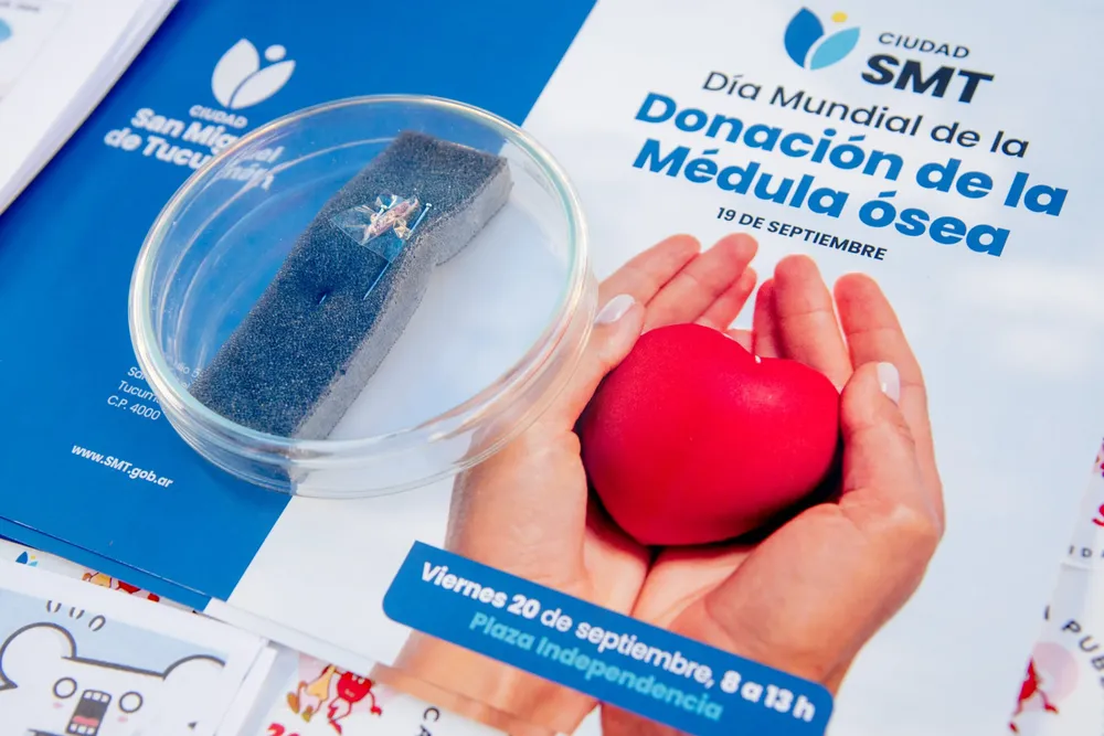 WhatsApp Image 2024-09-20 at 1.03.55 PM