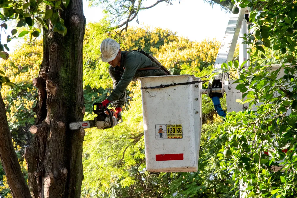 WhatsApp Image 2026-01-22 at 09.45.42 (1)