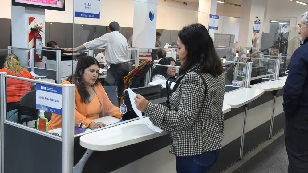 2025 archivo ingresos municipales