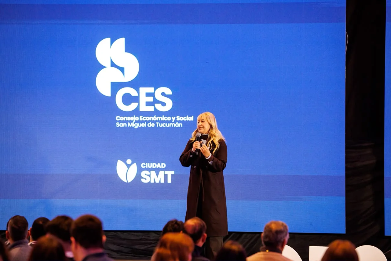 V Sesión Plenaria del CES (2)
