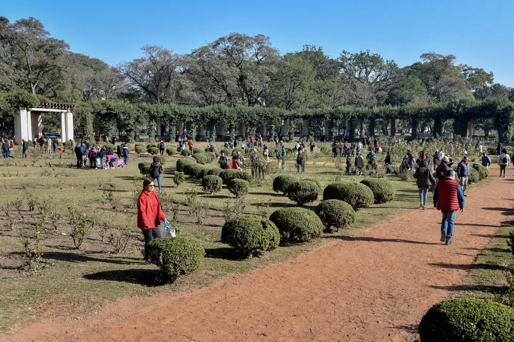entrega de esquejes rosedal 3