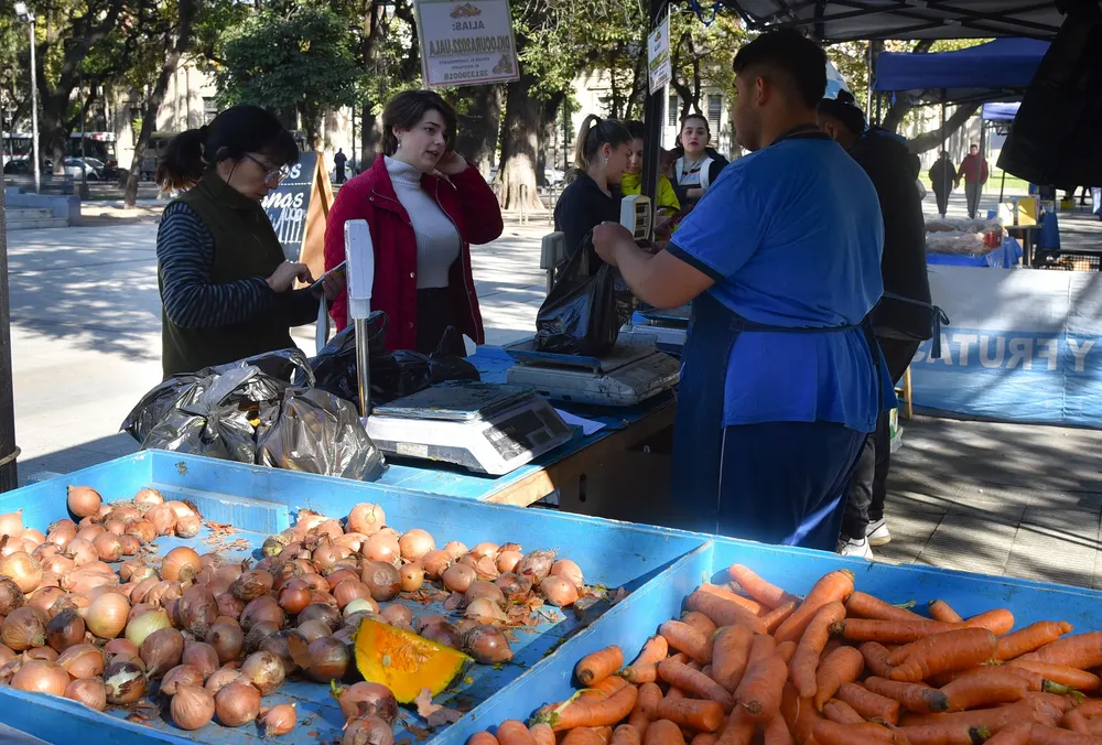 Mercado en tu Barrio agosto 2024 para ilustrar 1