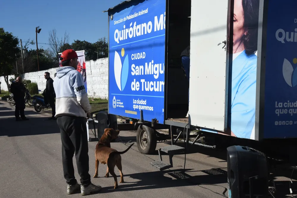 2026 junio población animal 2