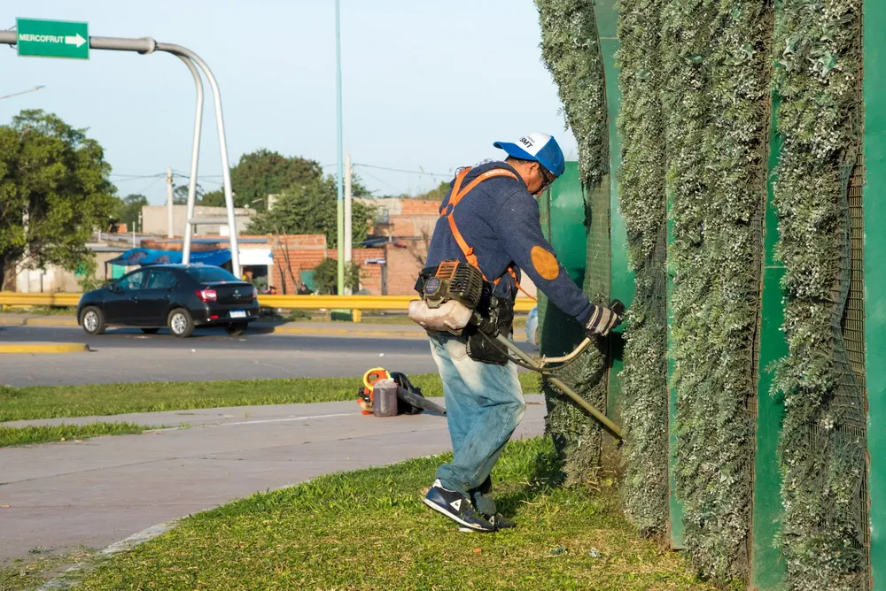 revalorización rotonda san cayetano espacios verdes 13