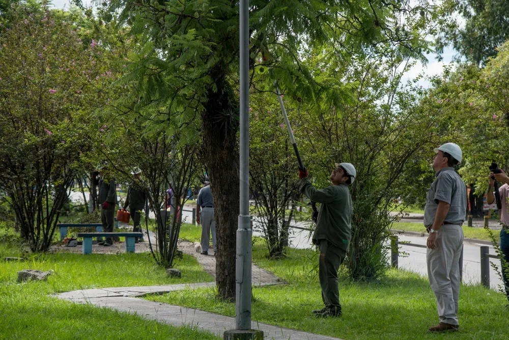 2026 poda arbolado avenida Kirchner (1)
