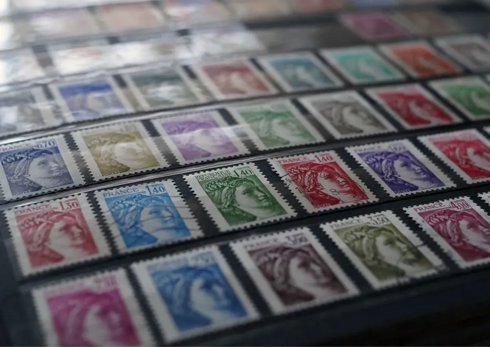 WhatsApp Image 2025-05-14 at 2.25.31 PM