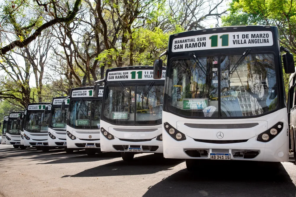 Presentación colectivos lineas 11 y 19 5