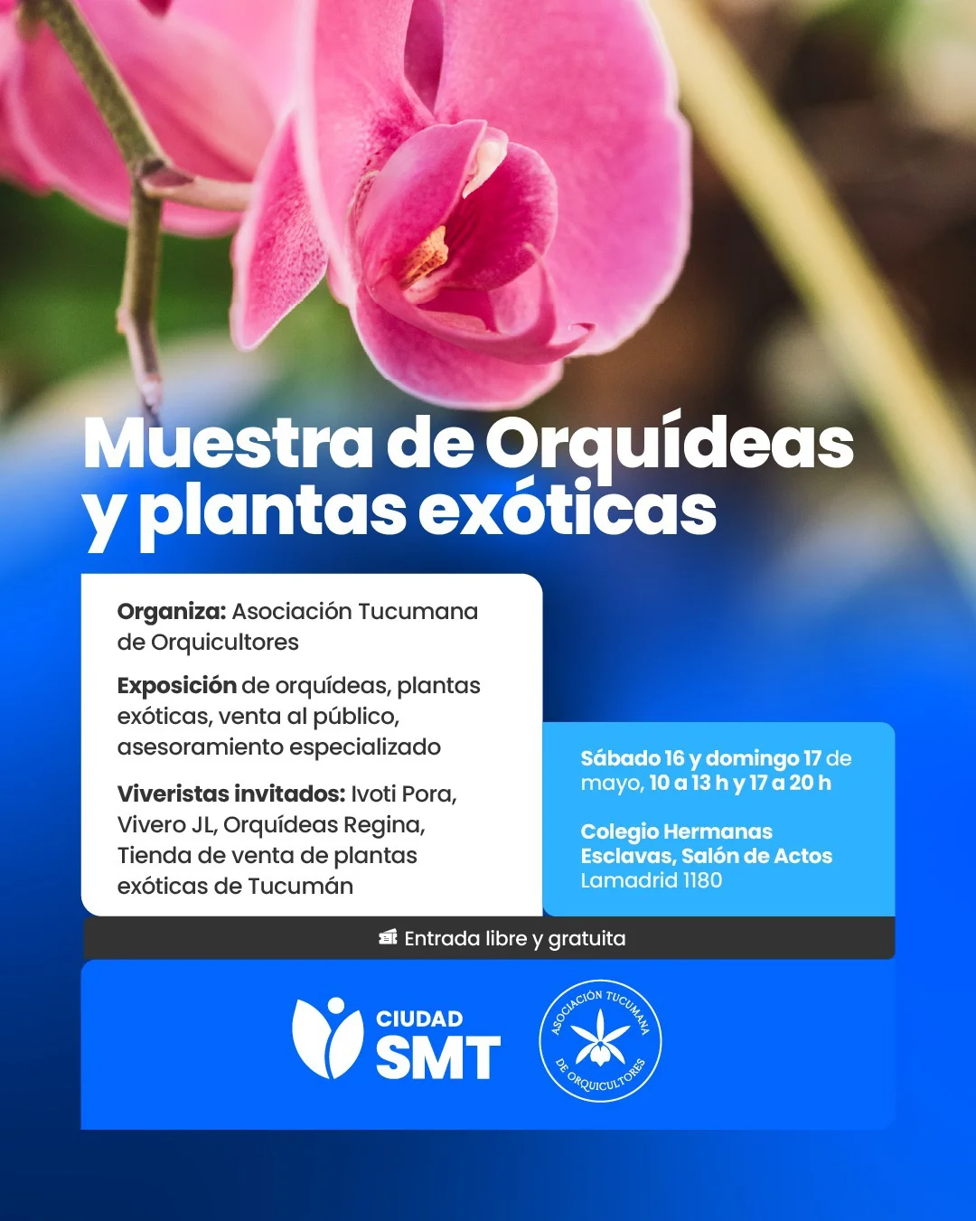 Muestra de orquídeas