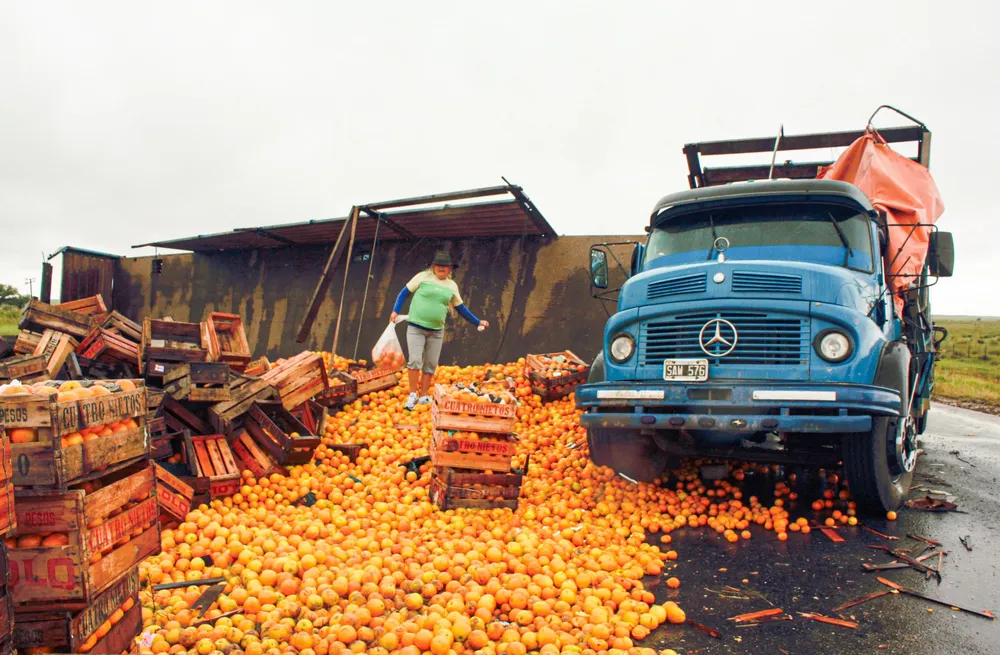 Muestra de Arte de Miguel Monti 4