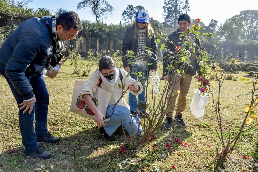 entrega de esquejes rosedal 6
