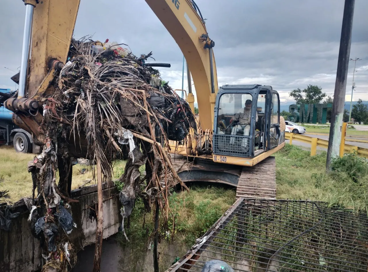 WhatsApp Image 2024-02-09 at 09.58.00 (1)