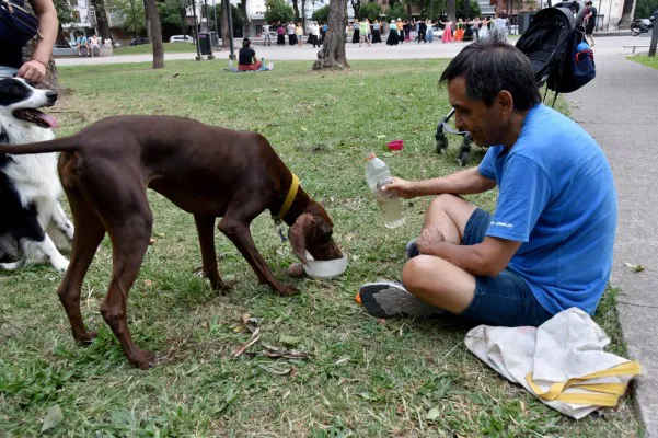 Vínculo Humano Animal