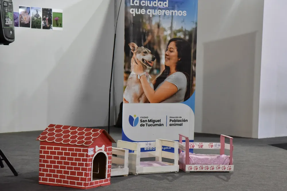 lanzamiento eco cucha y patitas amarillas - animales 3