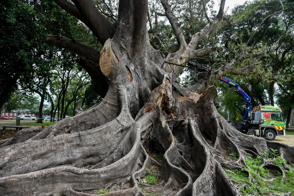 WhatsApp Image 2025-04-25 at 12.52.37 PM (3)