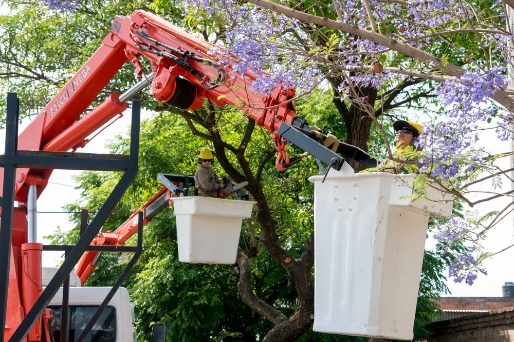 WhatsApp Image 2025-10-17 at 13.19.53