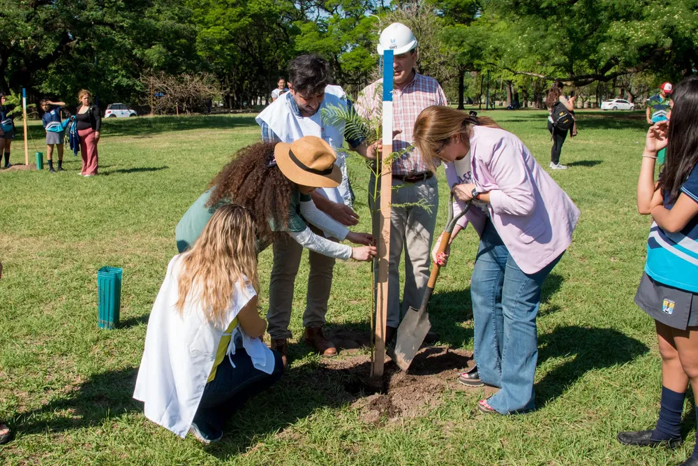 2025 forestación arbolado parque 9 de Julio (4)