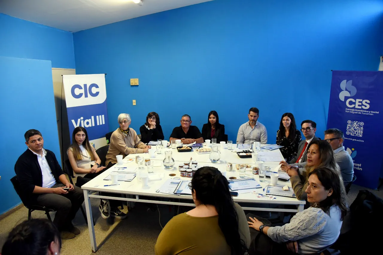 2025 comision inclusión ces cic vial III (2)