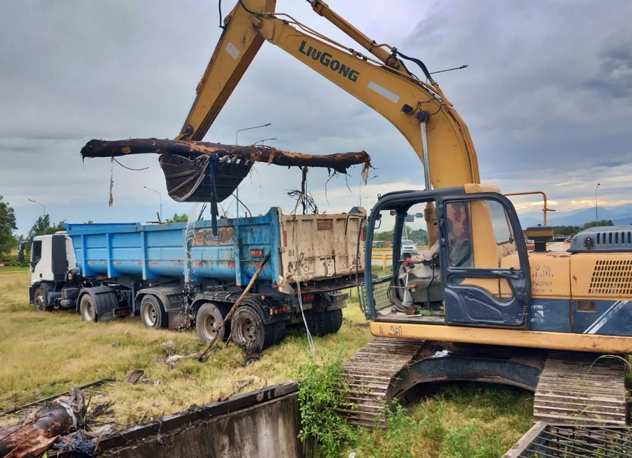 WhatsApp Image 2024-02-09 at 09.58.00