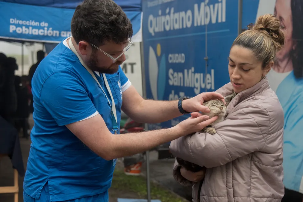 Población animal castración móvil