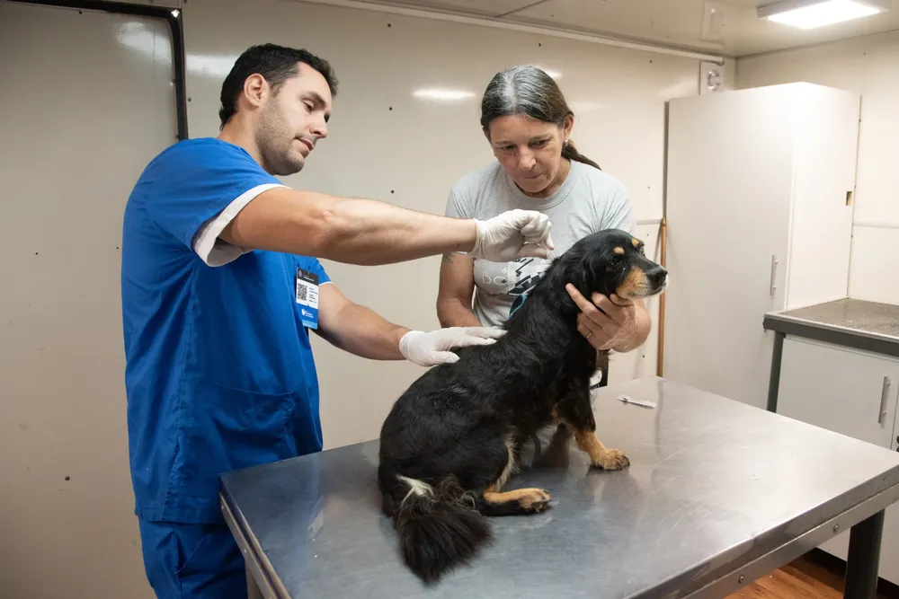 WhatsApp Image 2026-03-05 at 12.24.58