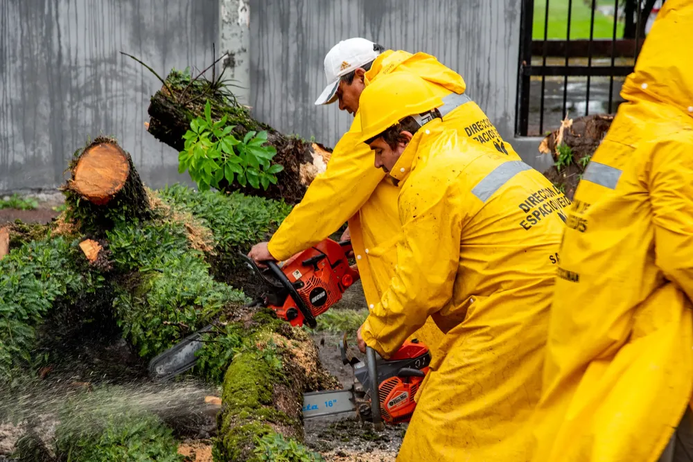 WhatsApp Image 2026-01-19 at 10.44.13