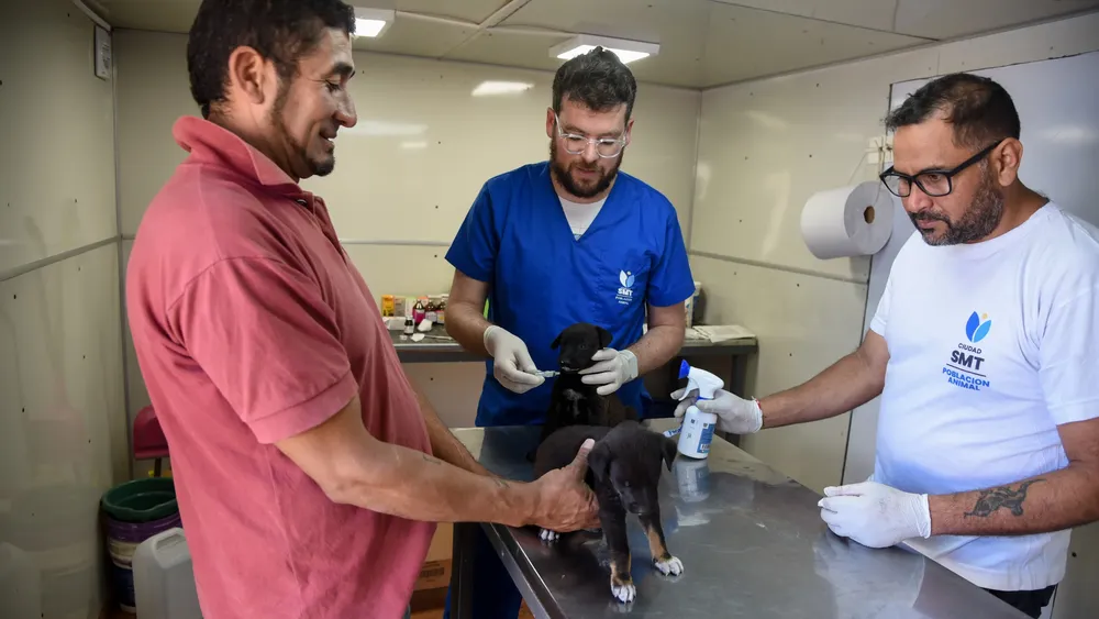 2025 Población animal SMT - Barrio Sutiaga (6)