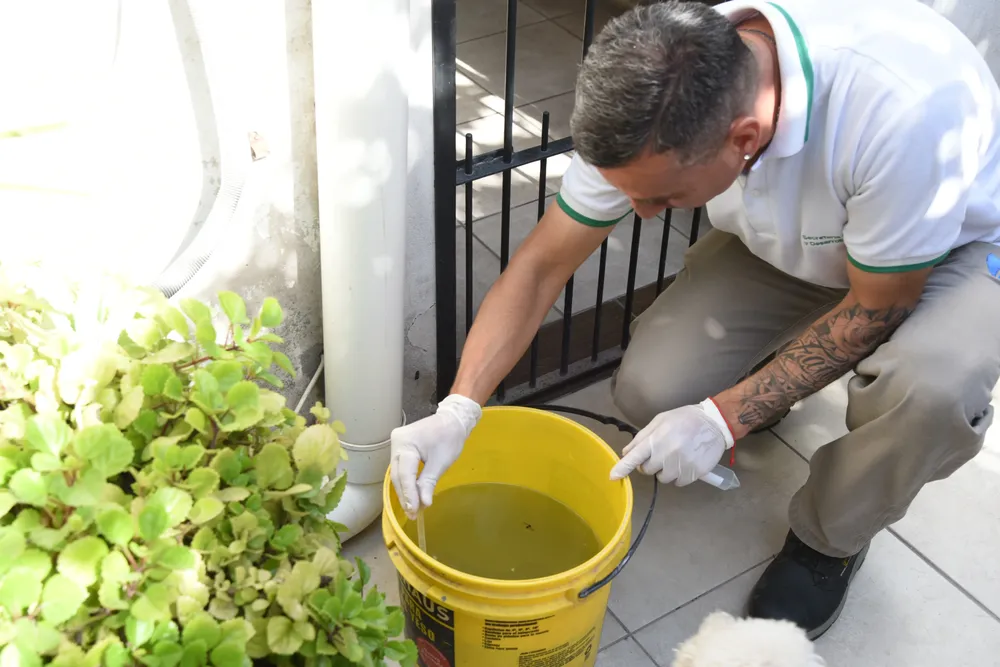 2026 control focal salud ambiental