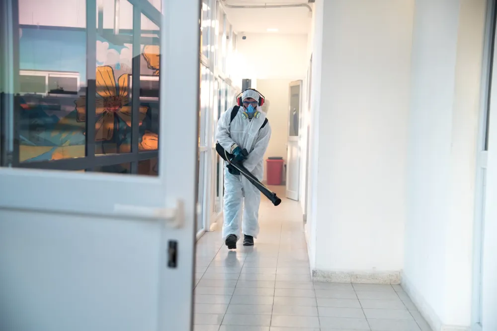 2025 fumigación asistencia pública (2)