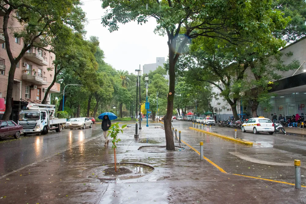 WhatsApp Image 2025-05-27 at 12.59.20 PM