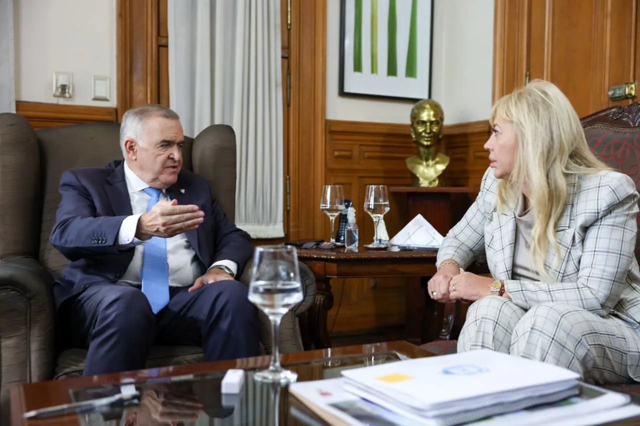 WhatsApp Image 2025-12-19 at 13.43.32 (1)