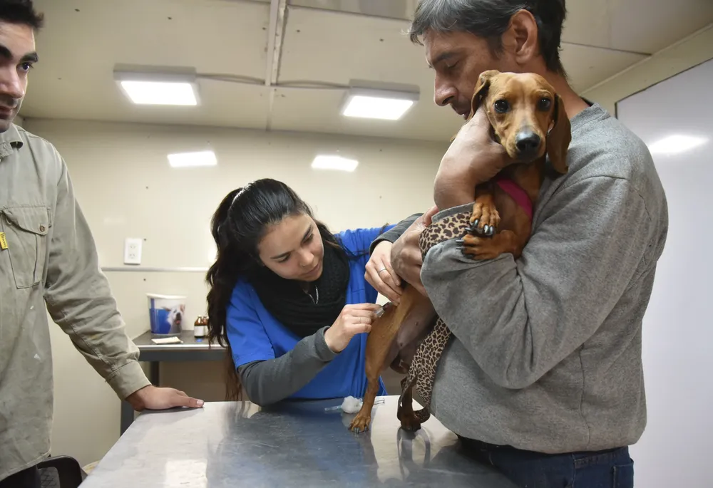 2025 vete en tu barrio