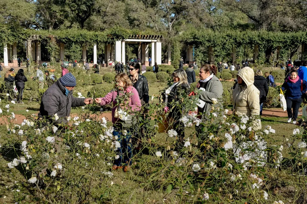Entrega de Esquejes rosedal 2024 (1)
