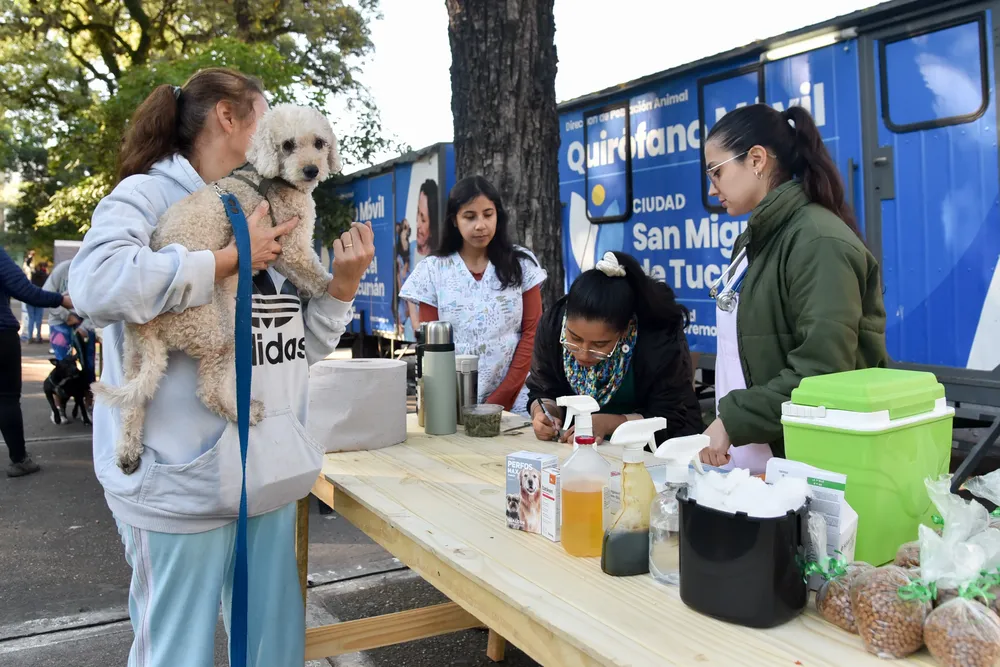 Problación Animal (1)