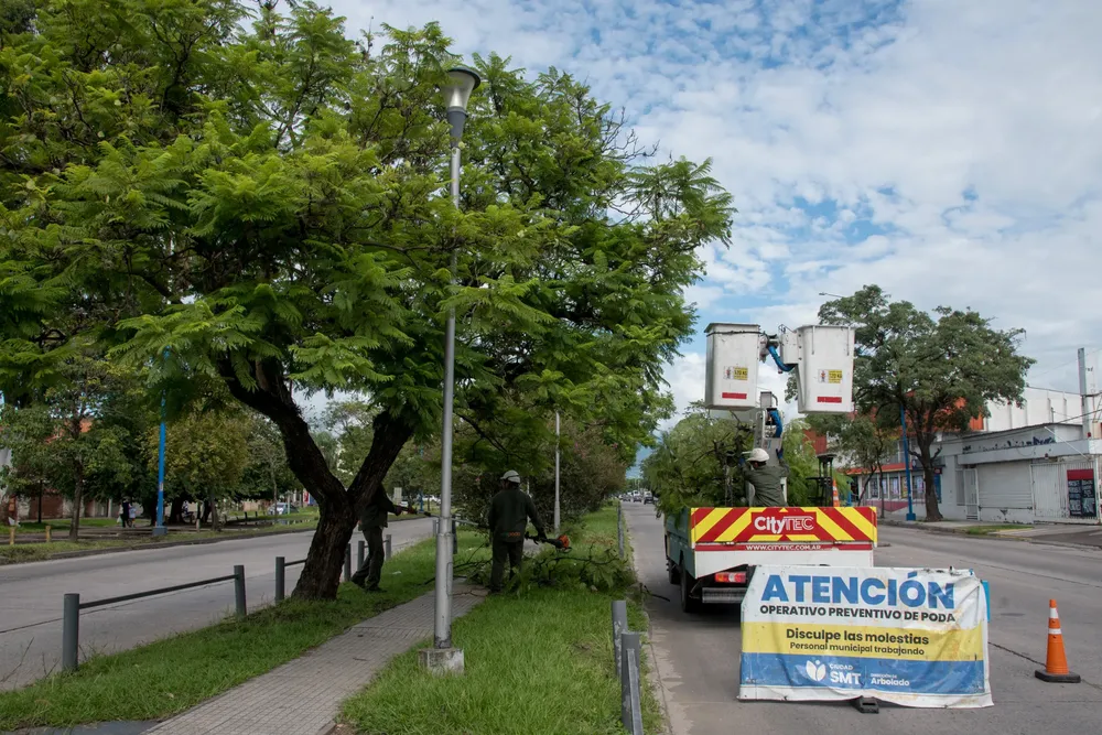 2026 poda arbolado avenida Kirchner (3)