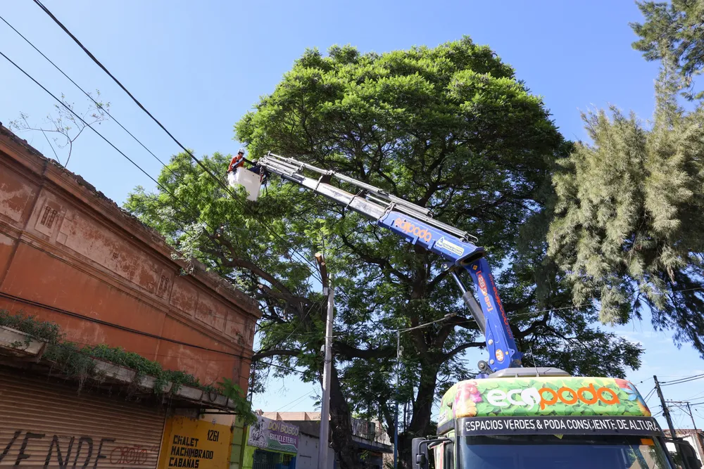 WhatsApp Image 2024-11-12 at 1.12.56 PM (1)