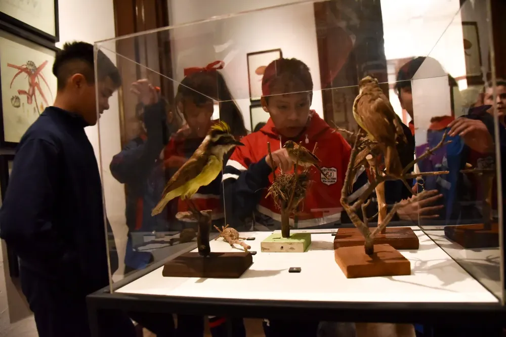 WhatsApp Image 2024-04-25 at 12.39.51