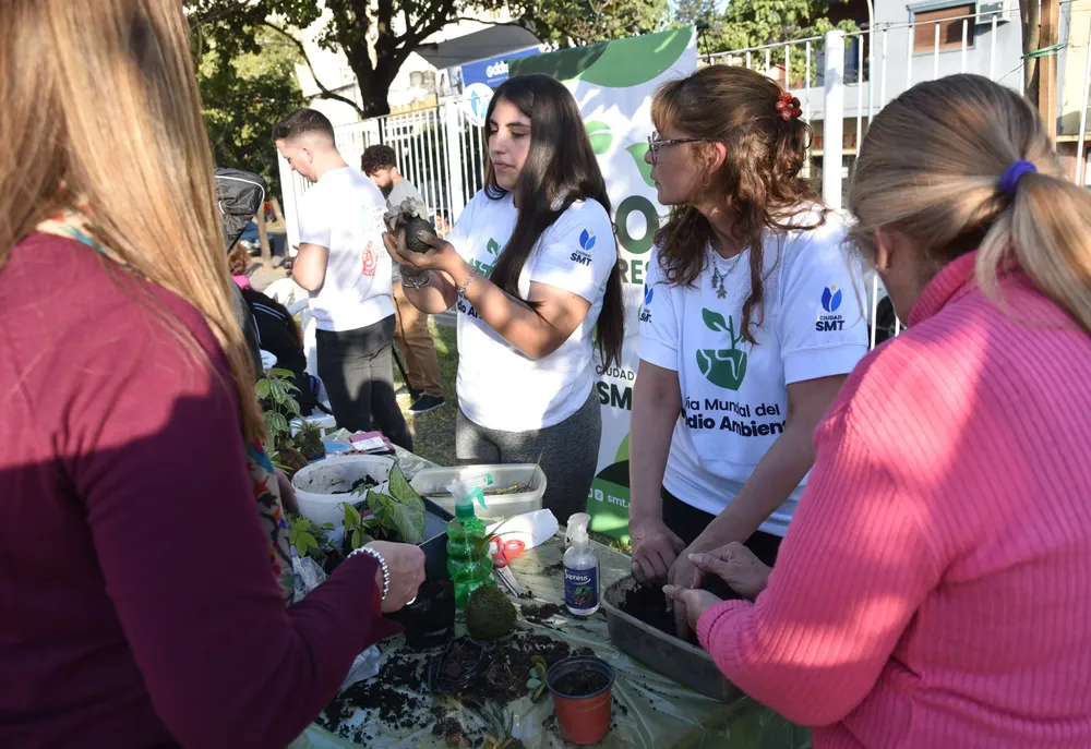 ambiente eco talleres kokedama